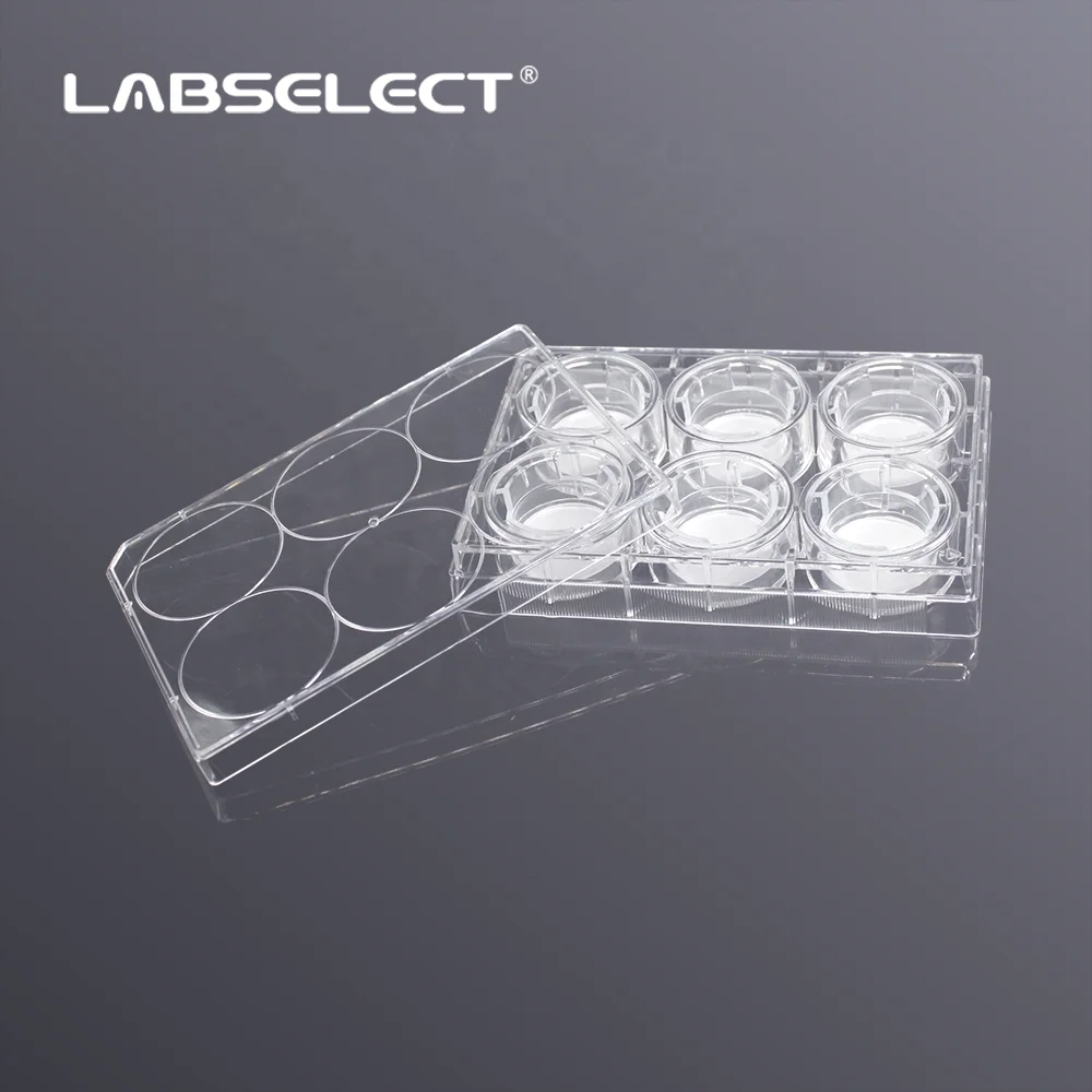 Labgic cell culture Inserts in 6-well  6.6mm PC transwell polycarbonate membrane insert for cell culture low moq