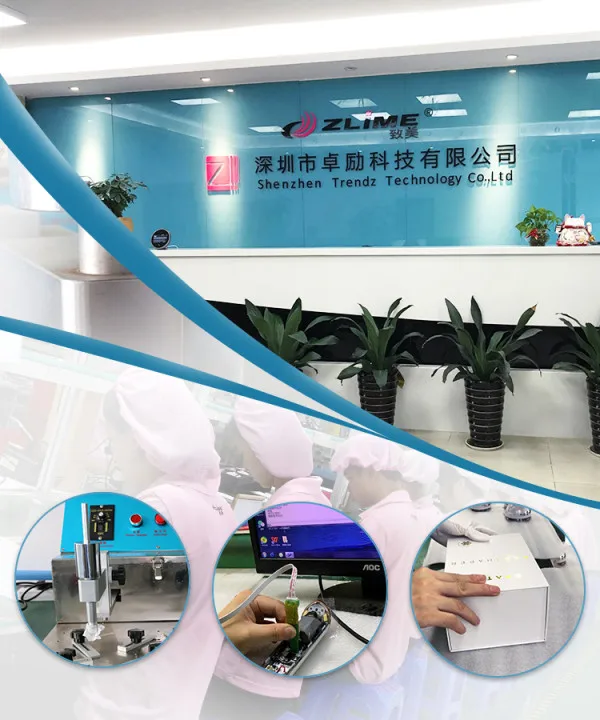 ZLIME Factory  best sell Ion Aesthetic Device for Women Bigger Thicker Lips Portable Electric lip massager device lip care