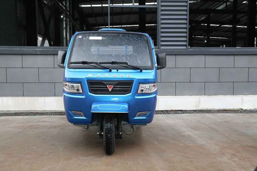  300cc Китай wanhoo бензиновый трехколесный грузовой велосипед мотоцикл для продажи Тяжелая загрузка