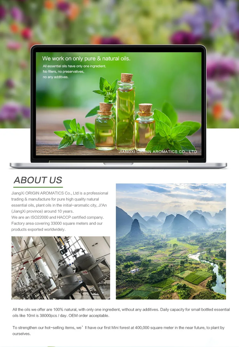 bergamot essential oil for daily chemical and air freshener at nice price