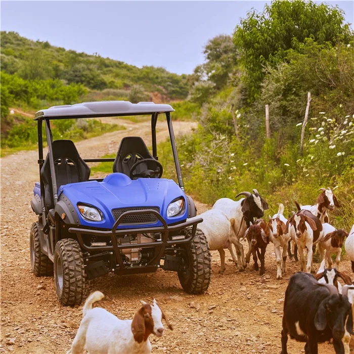 Hot Sale Utv Electric 4x4 Quad Axle 10kw Utility Vehicle 4 Wheels Offroad Drive Buggy Utvs for Farm