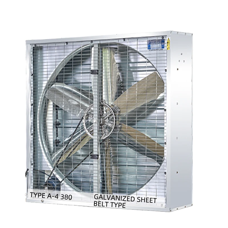 Innovative Design Anti-Rust 380V Industrial Exhaust Fan For Chicken Feeder