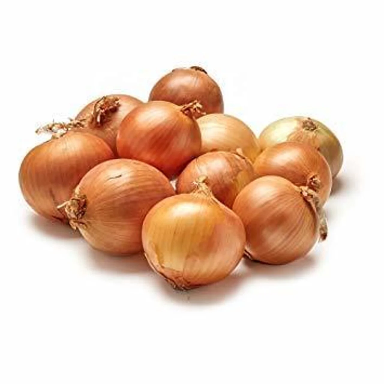 Manufacturer exporting fresh yellow onion, red onion, white onion all year round for fried food 3--12cm onions