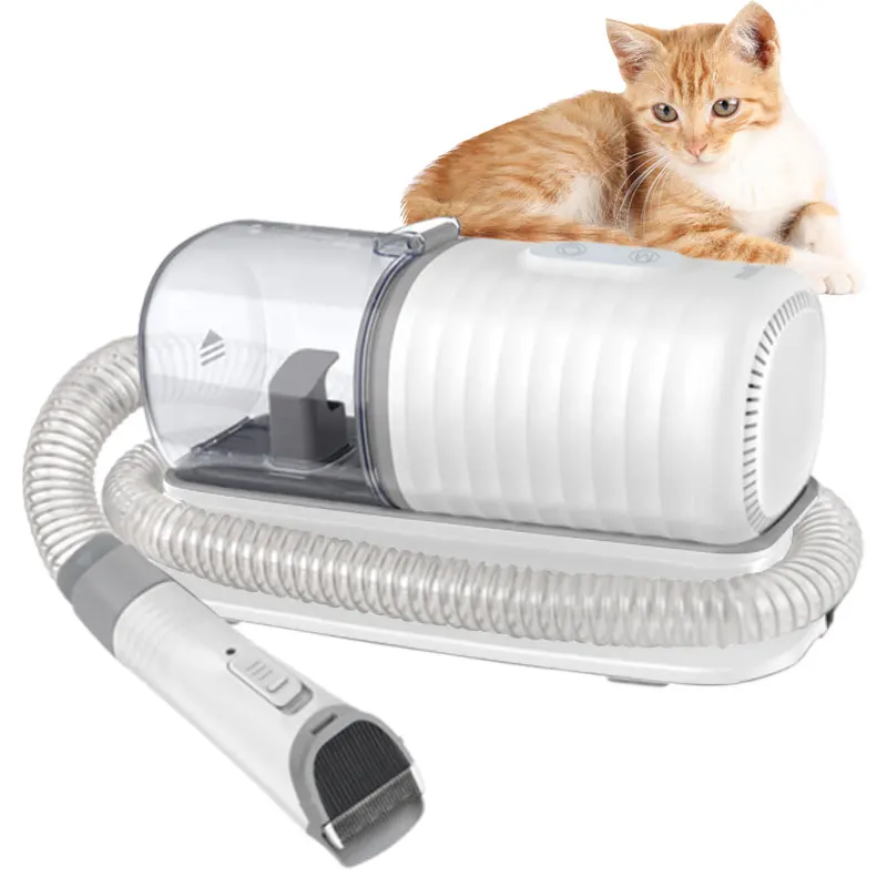 Motor Pet Dryer Machine Dog Hair Dryer Box Pet Grooming Dryer Grooming Kits