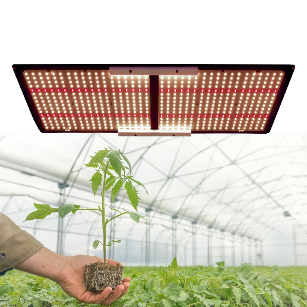 Shenzhen Meijiu Lighting Samsung 301H Samsung Grow Light, Novedades Chinas Lm301H 240W Led Grow Light Hydroponic