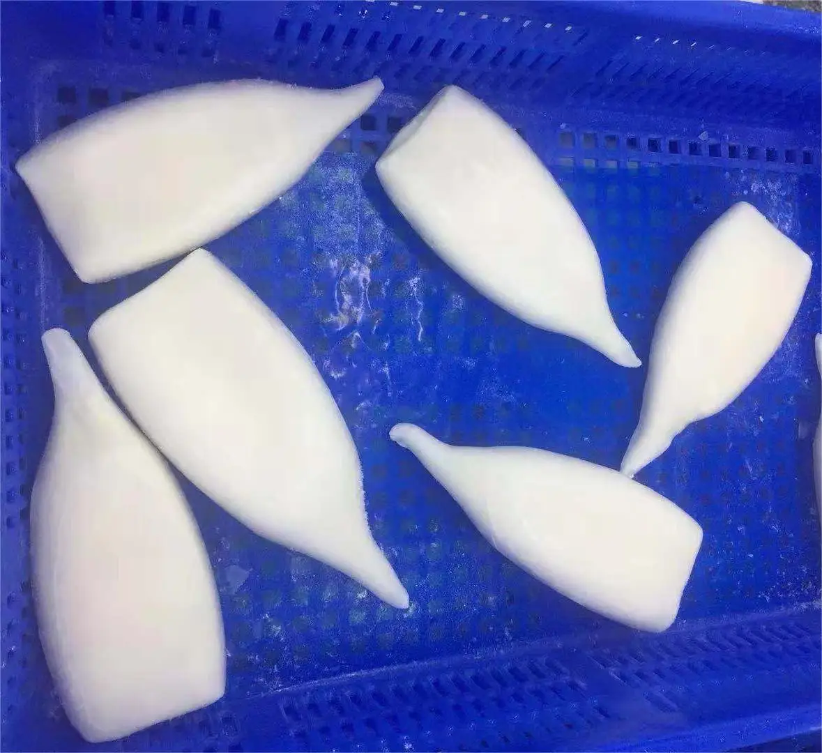 Factory Direct Competitive Price IQF Squid Tube U10 Frozen Pacific Squid for Market