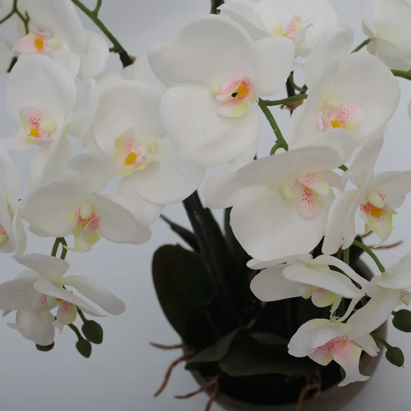 Hot sale high quality faux real touch phalaenopsis Artificial White Phalaenopsis orchid flowers in black ceramic vase