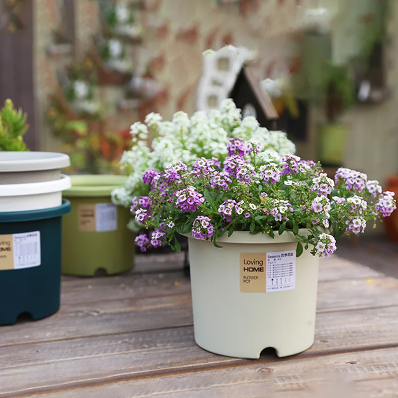 High Quality Wholesale Durable  Colorful Artificial Large Plastic Flower Pots For Home Decoration