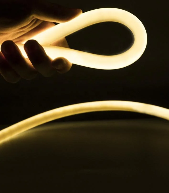 Hot Sale Silicone Neon Strip 12V 24V 110V 120V 240V 230V RGB 360 Degrees Flexible Led Neon Light RGB Neon Strip Holiday Lights