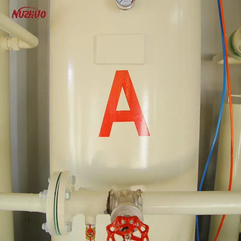 NUZHUO 2024 Hotsale Extraordinary Quality Psa 20Nm3 30Nm3 100Nm3 Oxygen Generating Machine Export To Africa
