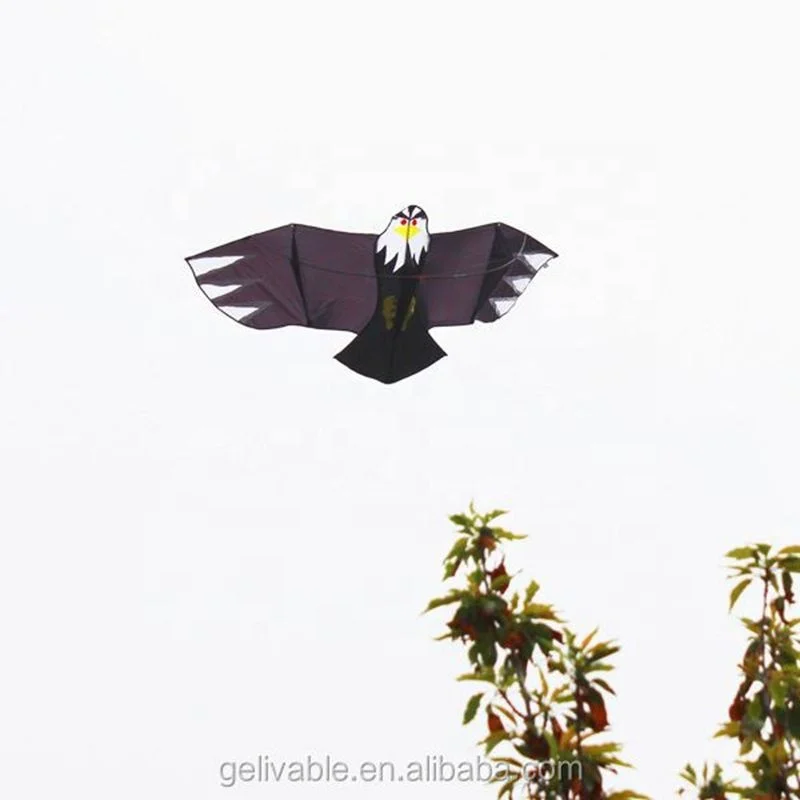 hot sales easy  fly big eagle single  line handwork custom outdoor kite from weifang professional  kite factory