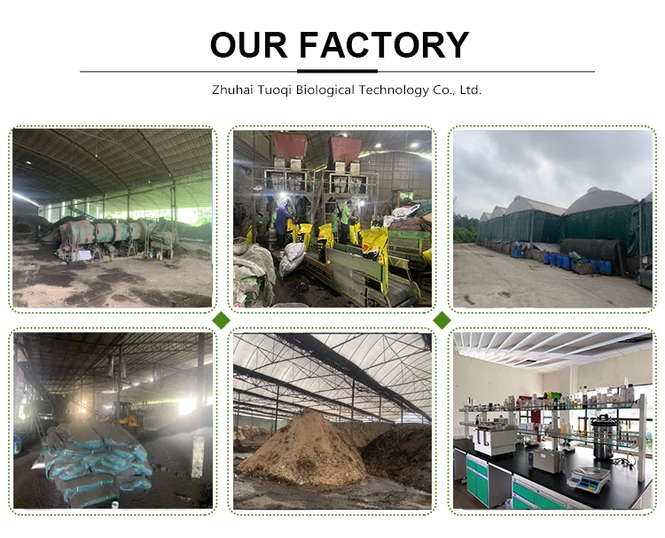 Customizable Organic Fertilizer with Humic Acid+ Fulvic Acid Quick Release Plant-Sourced Granular Humate for Agriculture Soil