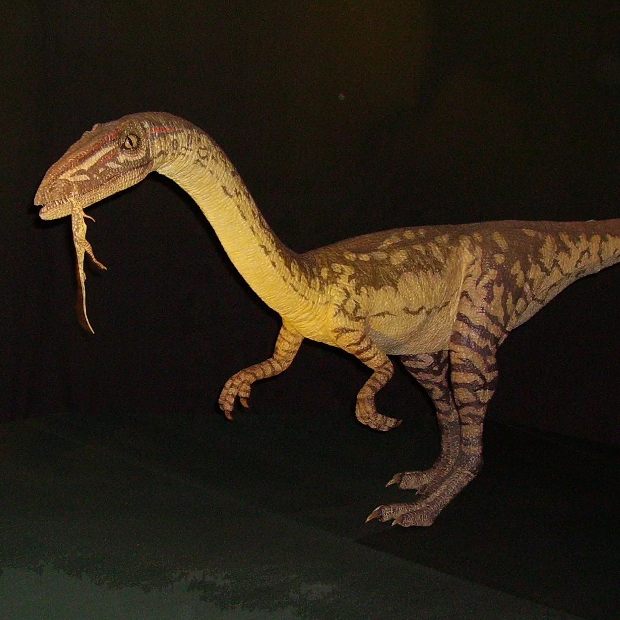 Dino Dinosaur Park Animatronic Raptor Dinosaur Life-sized Velociraptor for Sale