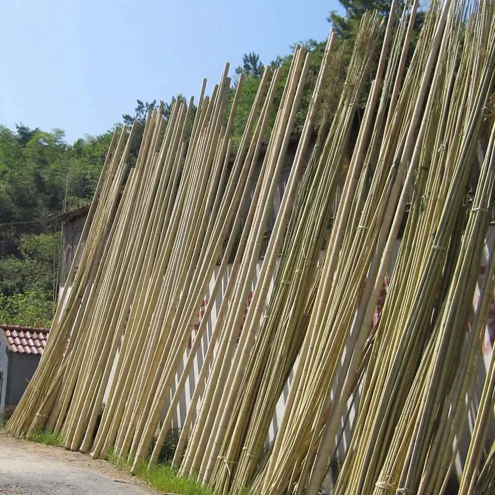 Wholesale Price Natural Decoration Building Construction Big Bamboo Pole