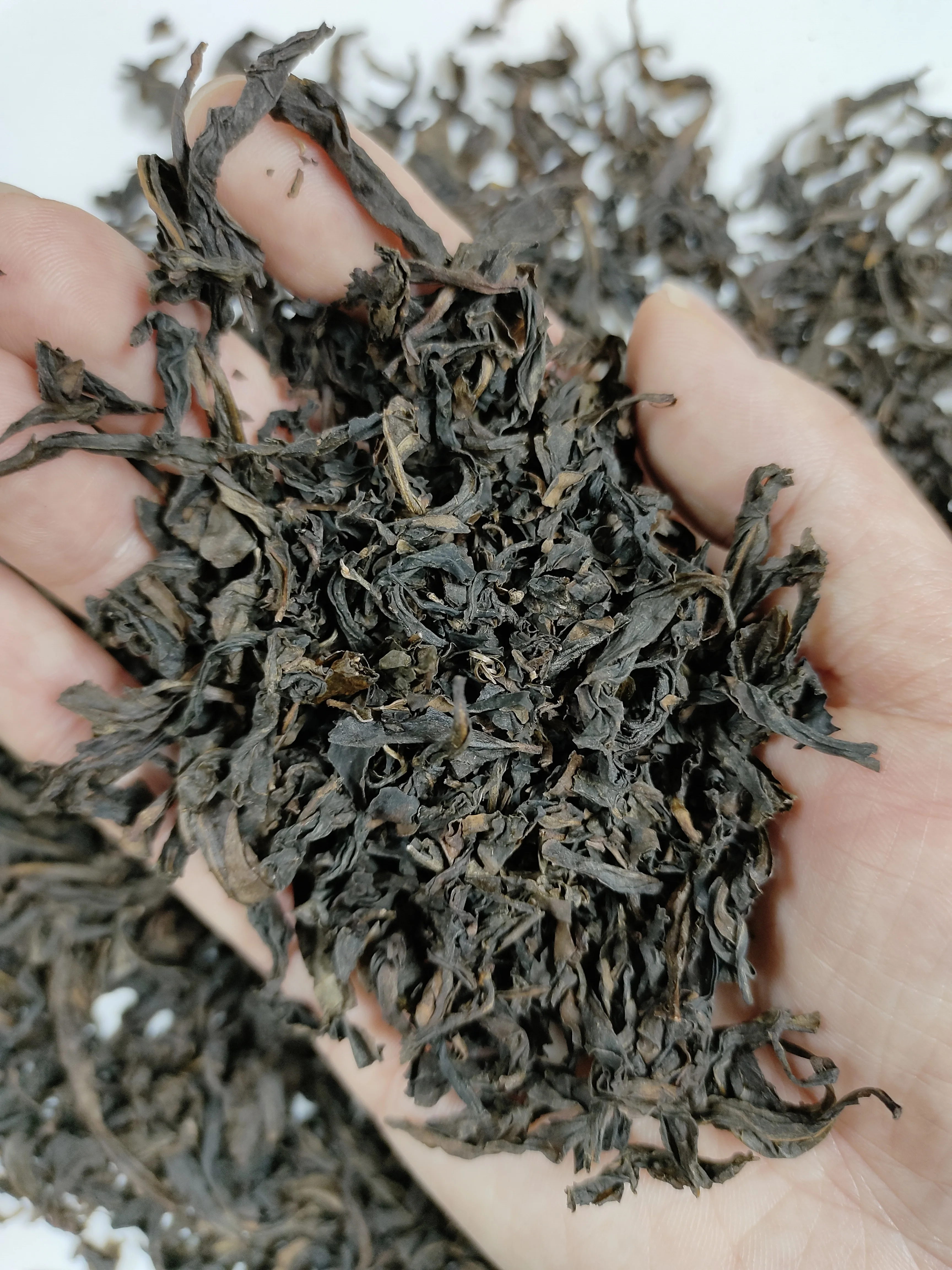 2024 Tea Manufacturers Bulk Wholesale Trendy Guangdong Ya Shi Xiang Feng Huang Wulong Phoenix Dan Cong Oolong Tea for Boba Tea