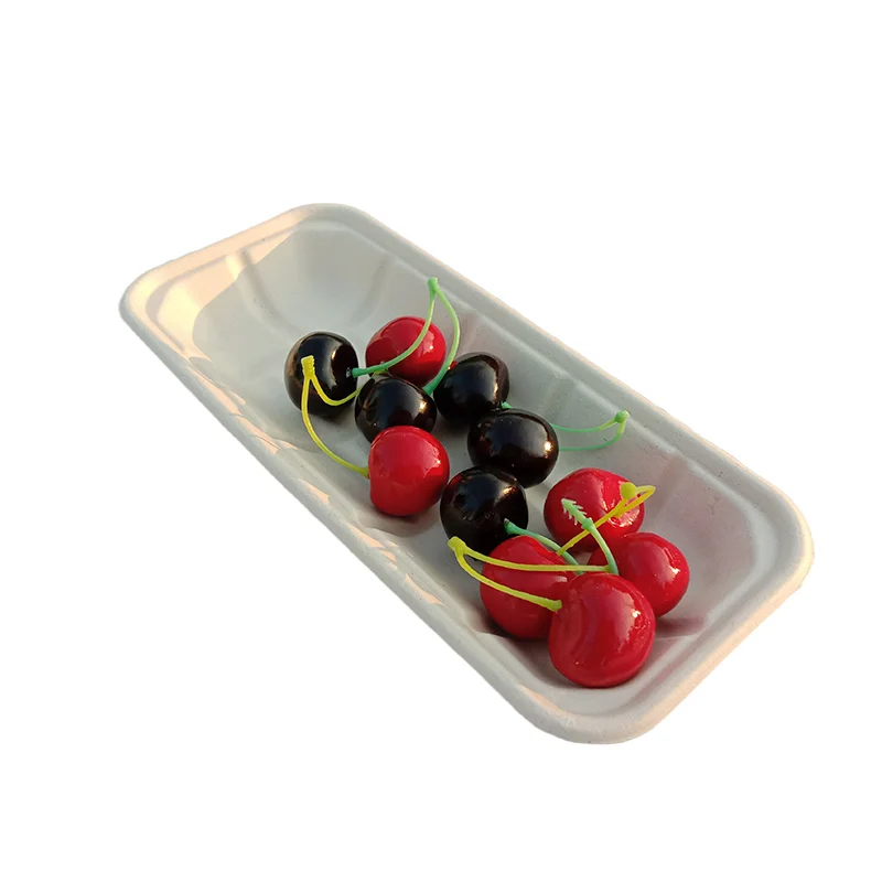 Portable 100% Biodegradable China Food Trays Nature Color No Plastic Sugarcane Pulp Tray Total Green