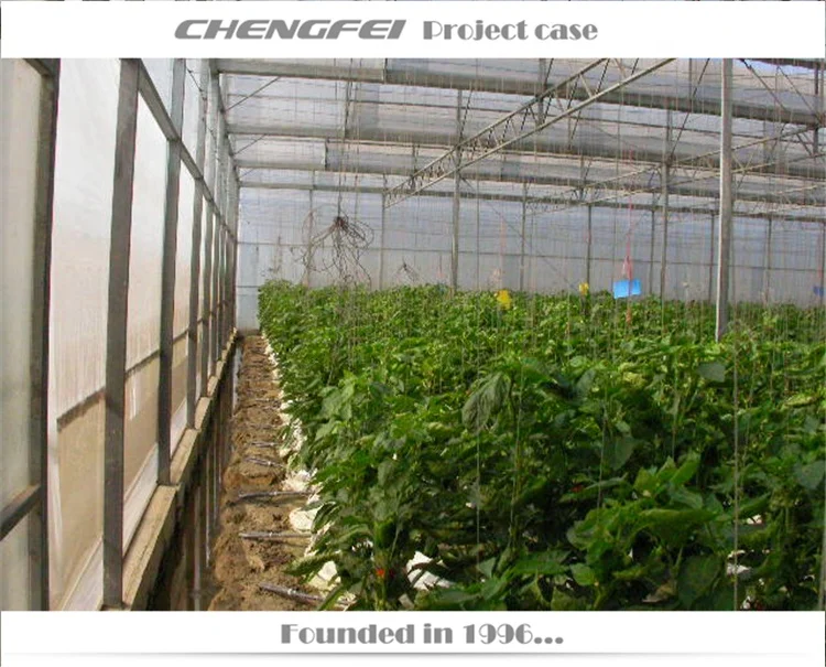 Multi-span serre-agricol plastic film chilli vegetable greenhouse buy agriculture turkey supplier for sale