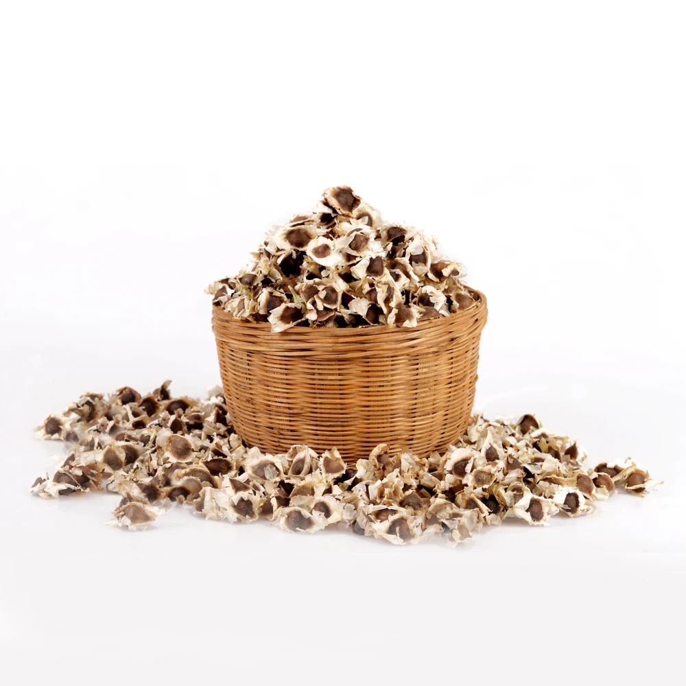 
moringa seeds for sale from india 