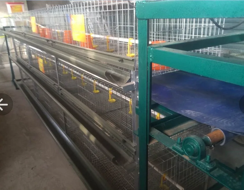H type 3 tires Animal cages Broiler chicken cage Chicken farming