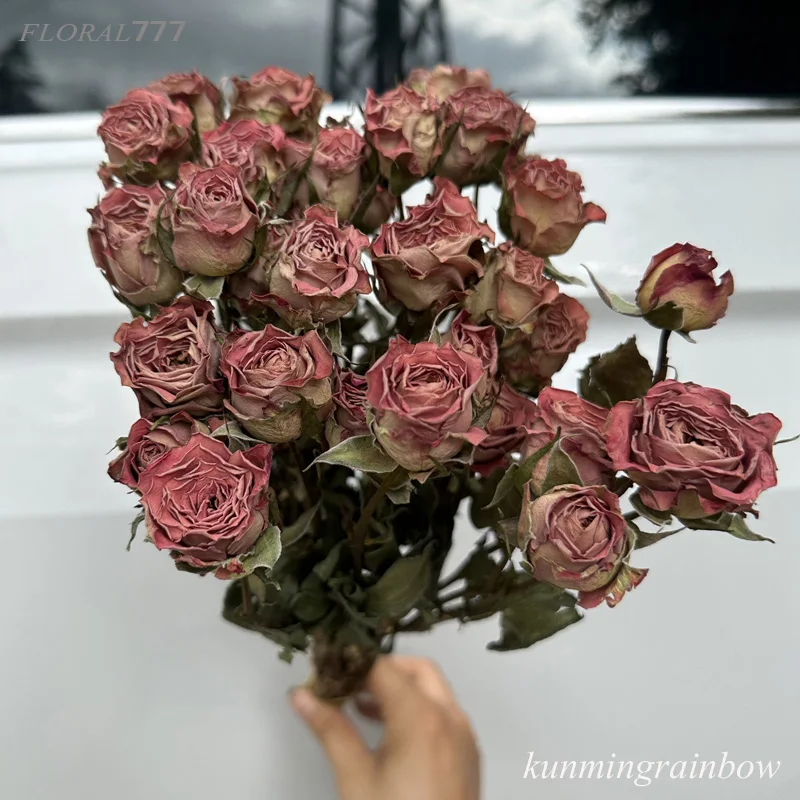 natural dried flowers dried sprayed rose flowers bouquet