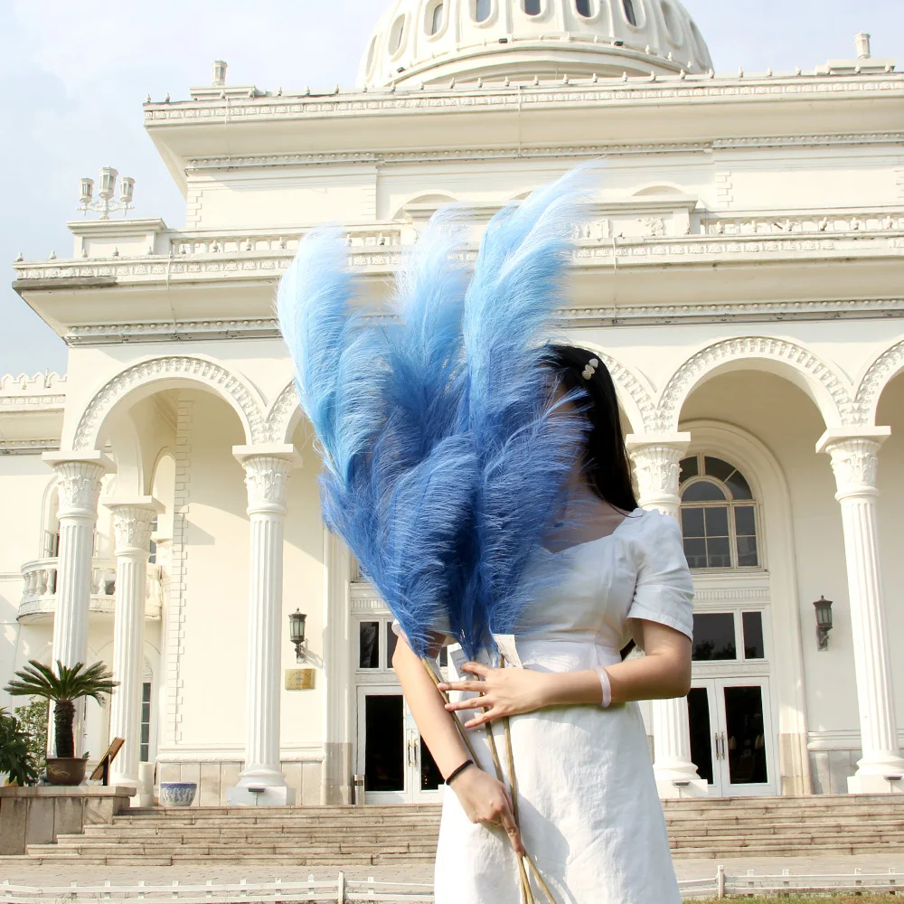 Multicolor Artificial Tiffany Blue Pampas Cortaderia Selloana Gradient Neon Pampas Phragmites Communis Pampas Seeds