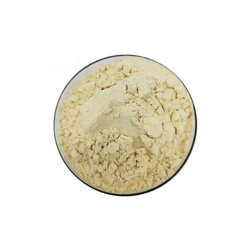 High quality natural plant dehydrated dried red onion powder food grade