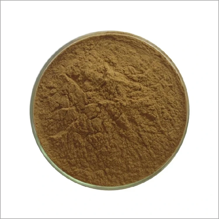 Wholesale Corn Stigma Extract  10:1 Corn Silk Extract