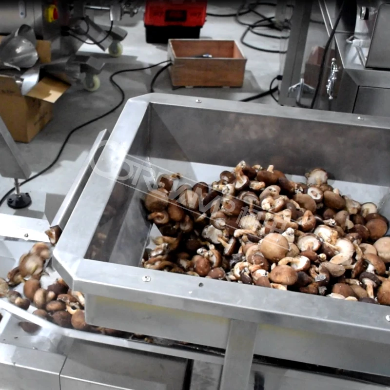 ZV-420A full automatic system beans rice nut peanuts vertical filling machine bagging machine price