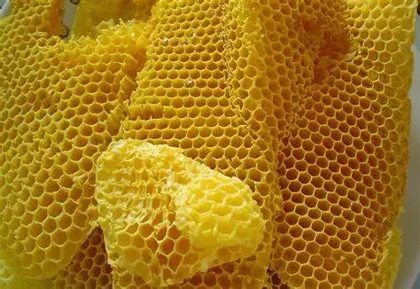 Factory Supply Pure Natural Bee Wax / Beeswax For Candles / Beeswax
