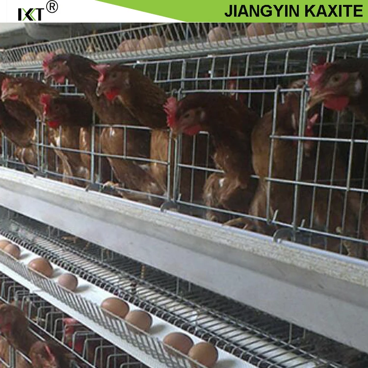 Hot Sale Cheap Custom Size PP Poultry Manure Conveyor Belt For Chicken Farm