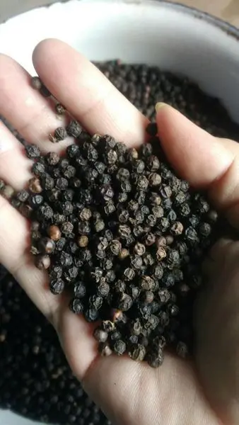 Natural Hot Sale Farmer Price to Export Pure Spices Dried Black Pepper Single Herbs & Spices 1 Kg Baked Round