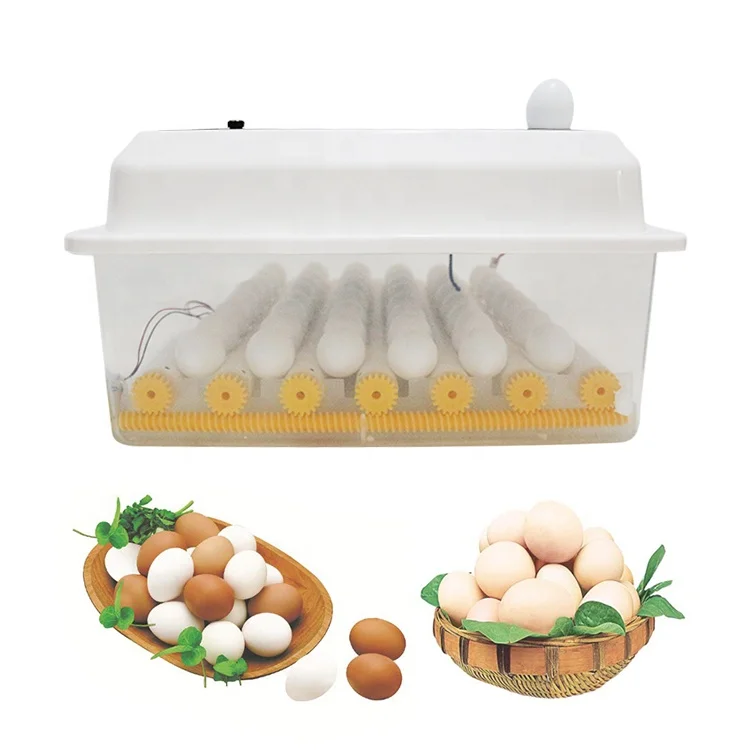 Household 12&220V plastic small size 6 zambia egg incubator with turer motor