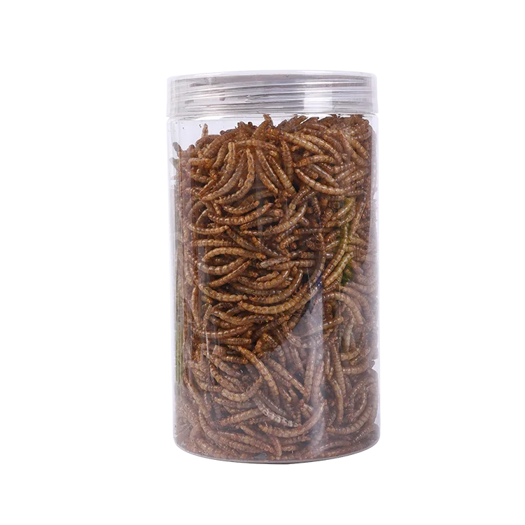 New Functionality Dried Insects Freeze Dried Mealworm for Small Pet food