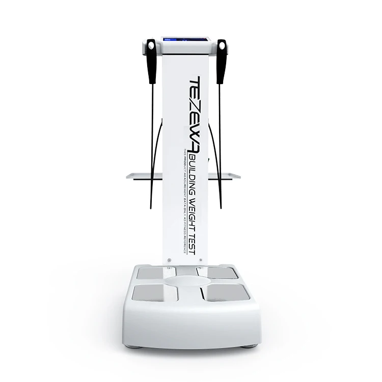 Professional Human Body Fat Analyzer With Printer 230 Body Composition Analyzer