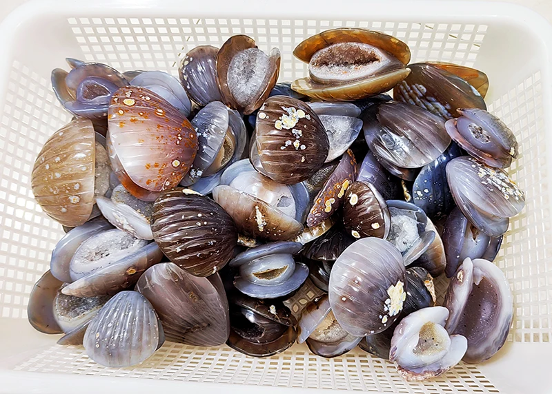 Factory price Wholesale crystal carving shell healing crystal carved Sea shell  crystal crafts agate conch shell for gift
