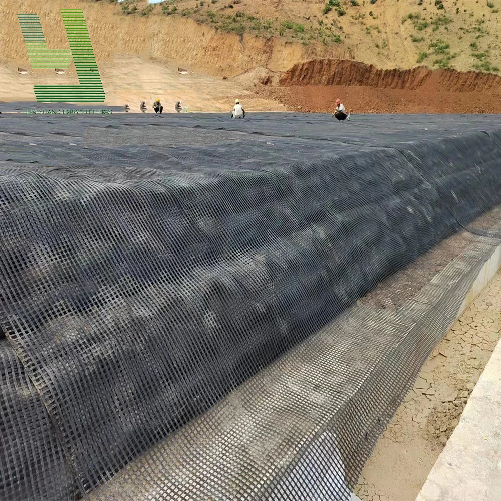 Asphalt Geogrid Chinese Factory Price Warp Knitting Geogrid Manufacturers Sell Asphalt  Polyester and Pet Geogrid
