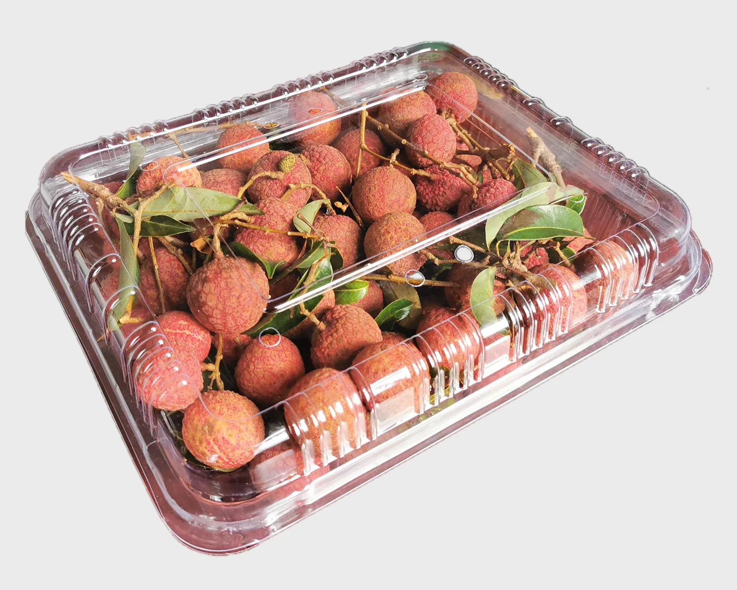 Semi Automatic Vacuum Forming machine  /  Black Flocking Blister Packaging Container making machine