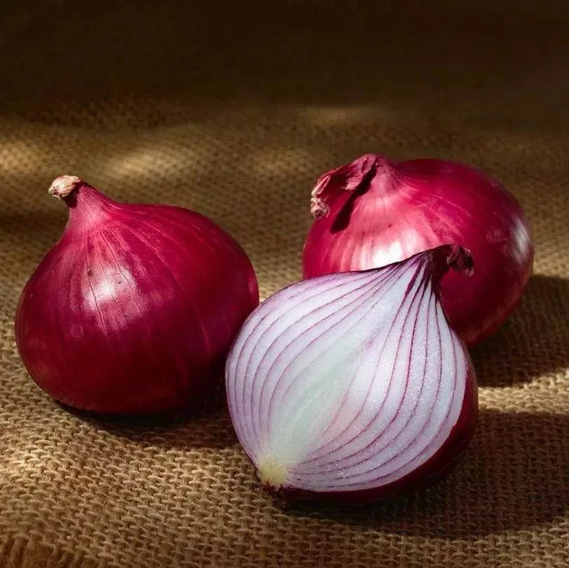 2024 fresh Chinese onion good taste onion export price