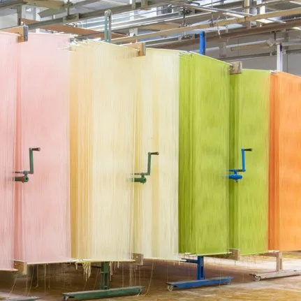 Tasty Typical Japanese Products Noodles Cuisine Udon With High Quality