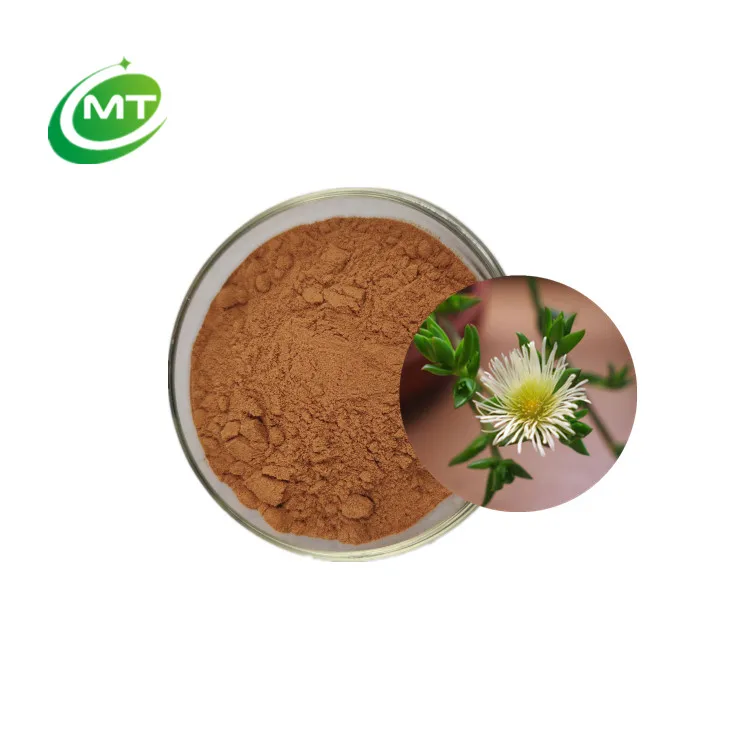 High Quality Organic Sceletium Tortuosum 10:1 Kougoed Channa Kanna Extract