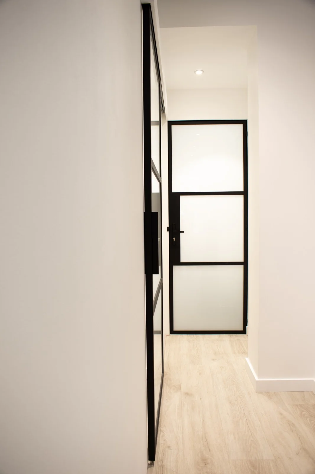 Galvanized Iron Entry Steel Door with Glass Swing
