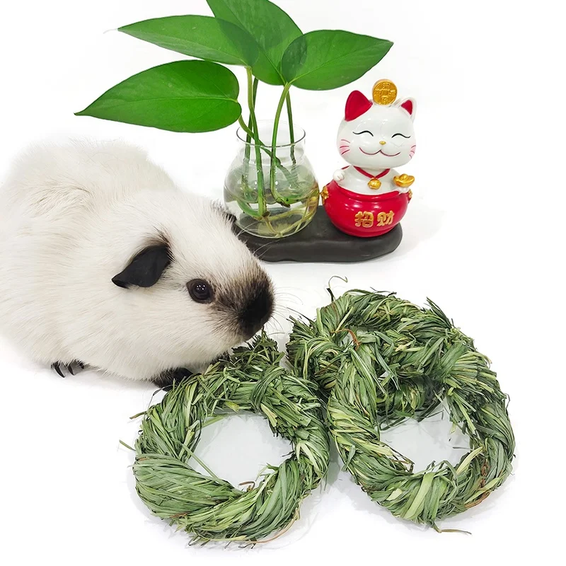 Pet rabbits hamsters guinea pigs chinchillas and other rodent snacks toy teething chew toy rabbit timothy grass