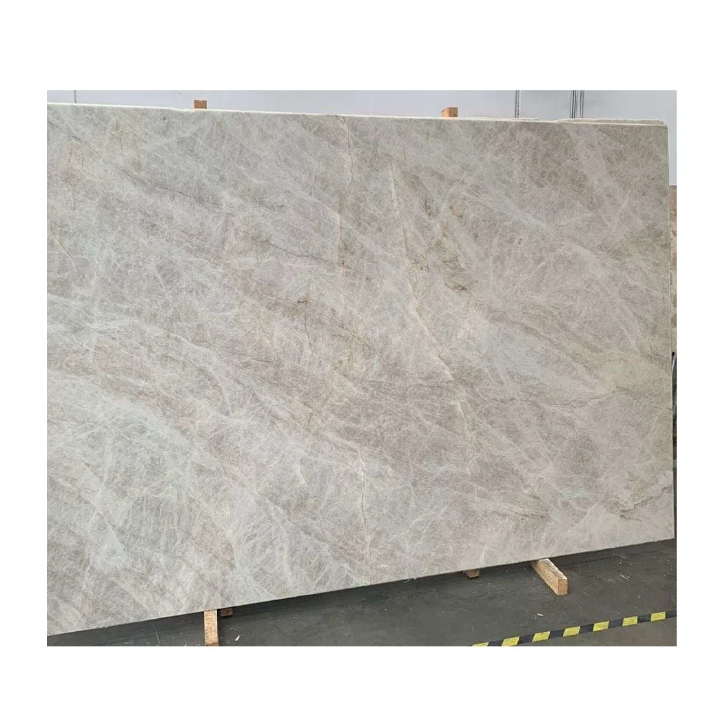 Taj mahal white quartzite exotic slabs for wall background