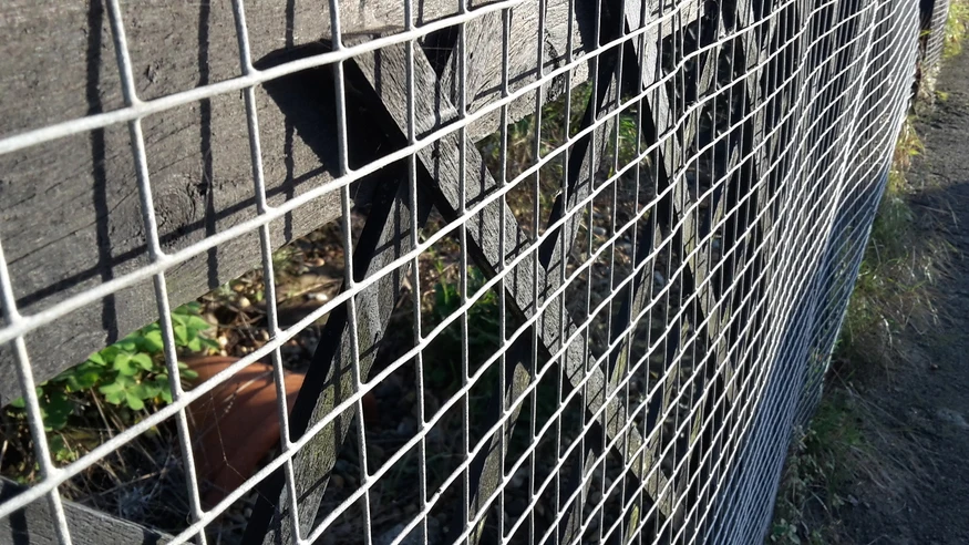 Welded Wire Mesh Fence Iron Fence Animal and Animal Fence/Flower & Wood Fence/Poultry Cage Fence