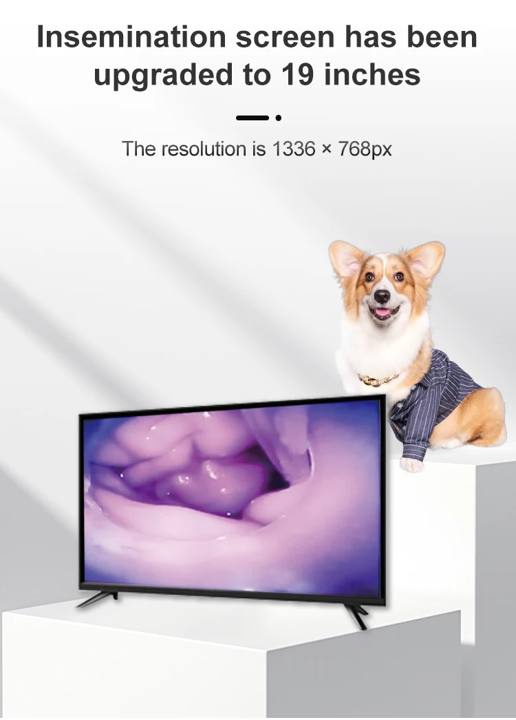 BTS Canine sperm delivery system Desktop  Visual  Insemination system kit for dog  AI animal veterinary instrument vet clinic