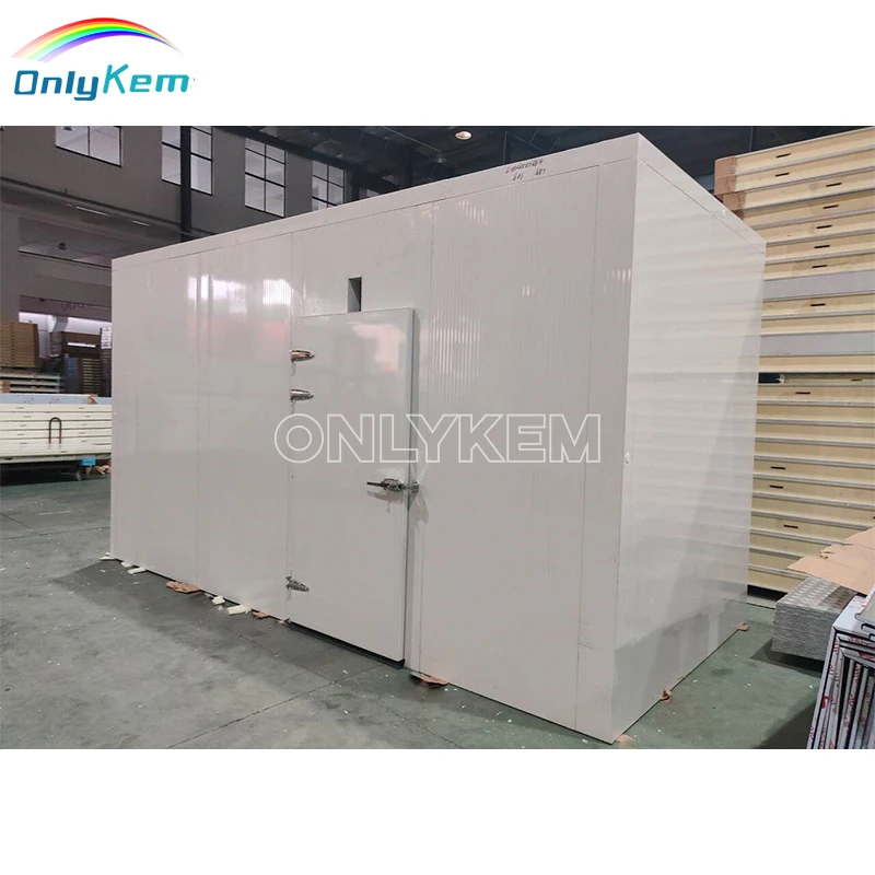 Small Medium Large Size Cold Storage Room Cool Freezing Refrigeration for fresh meat