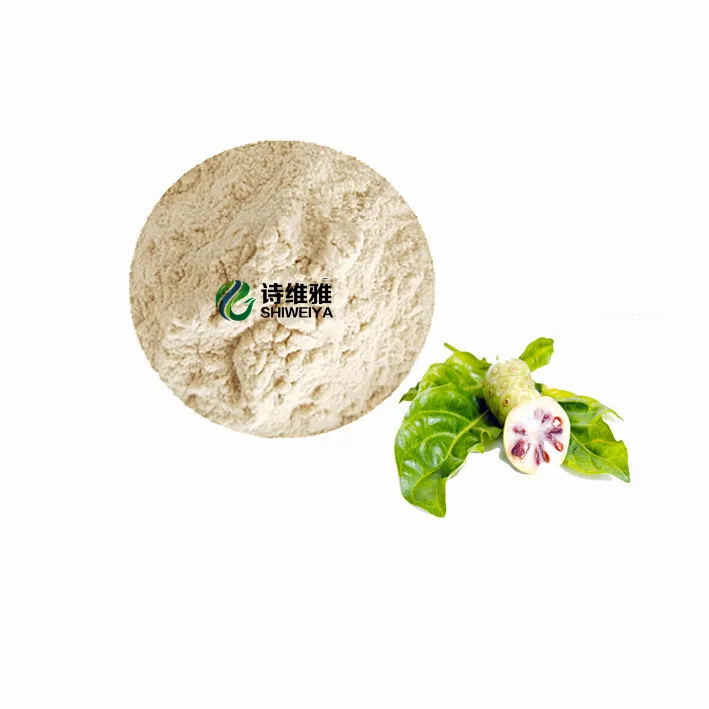 
100% Natural Good Price Pure noni Noni Fruit Powder 