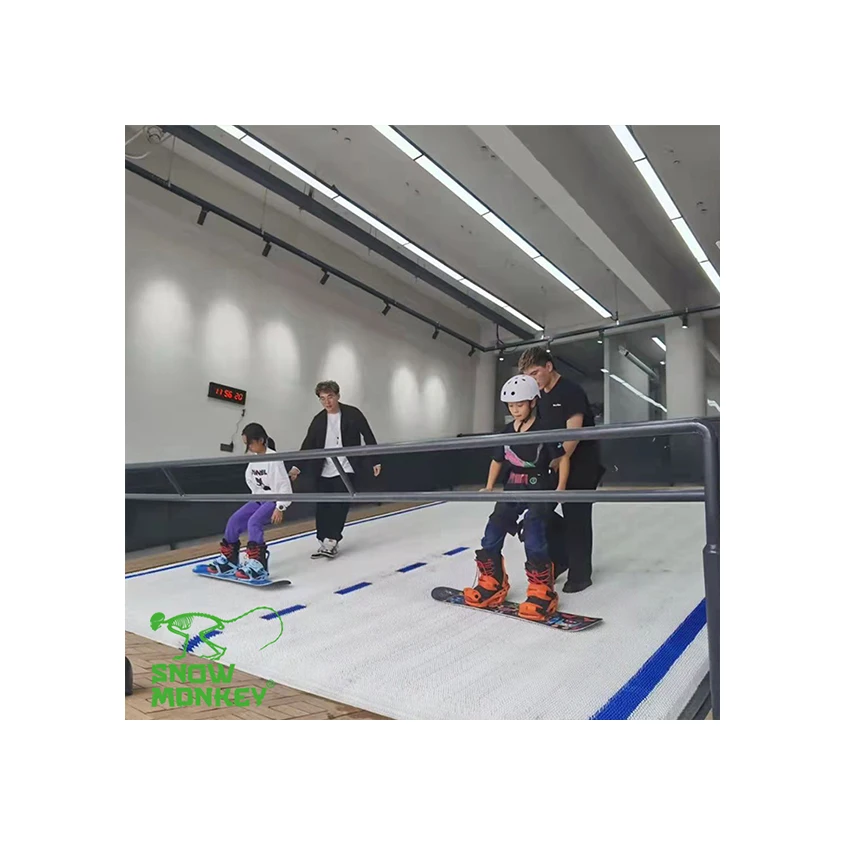 SNOW MONKEY endless slope gym fitness machine ski simulator equipment