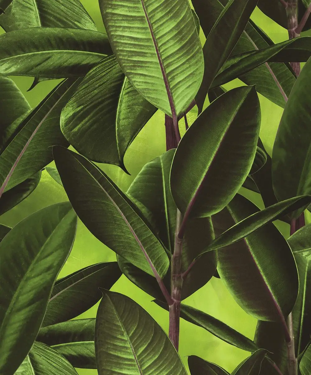 Natural Design Non Woven Wallpaper Sitting Room Bedroom Family Decorates Green Wallpaper