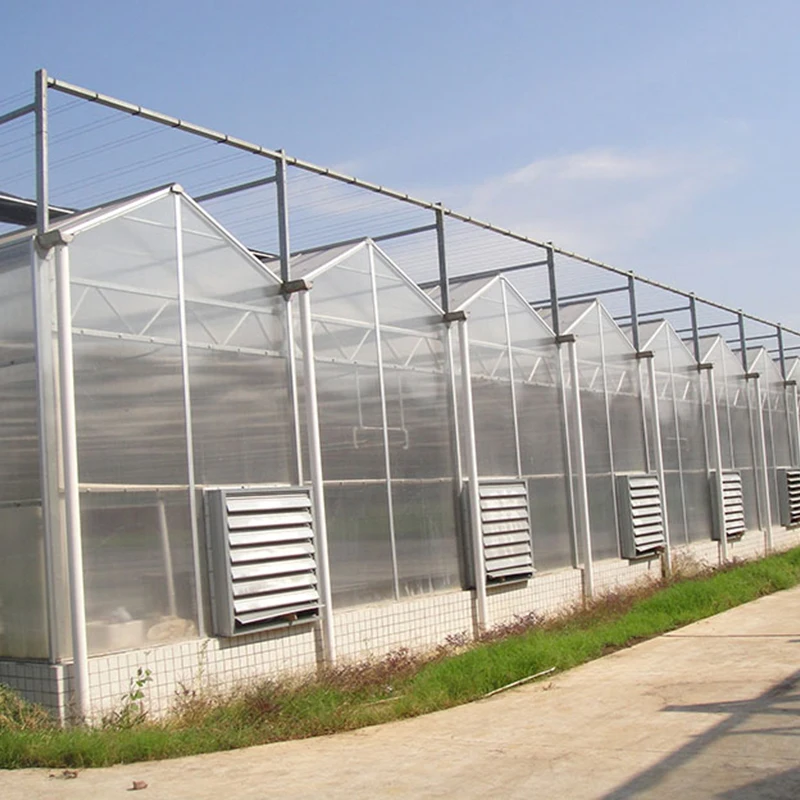 Good Price Greenhouse Construction Commercial Greenhouse Polycarbonate for Agriculture Cultivation